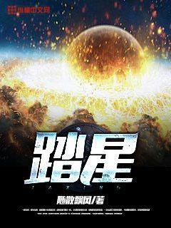 踏星作者是谁