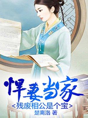 悍妇当家之残废相公
