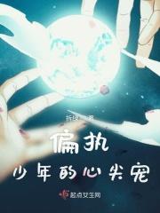 偏执的少年什么意思