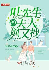 叶先生是什么意思