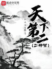 天下第二人武侠在线阅读