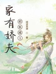 家有娇夫现代文