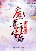 重生后魔尊只想追师兄全文免费阅读