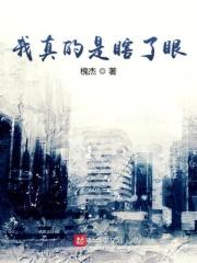我真是瞎了眼是什么歌