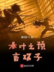 木叶之命运双子星
