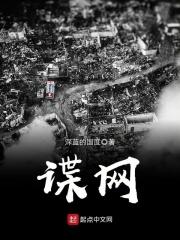 谍网追凶在线播放