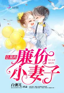 总裁的天价小妻子番外篇