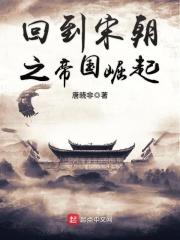 回到宋朝之帝国崛起精校
