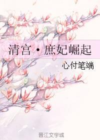 清宫·庶妃崛起txt
