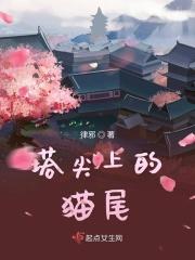 顶塔上的猫