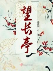 似水流年歌词在乡村音乐大会节目里是什么歌?