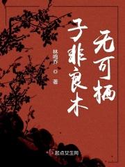 子非良人是什么意思