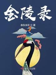 金陵繁华录