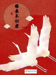 不缘道与君什么意思