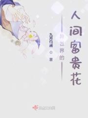 异世界的贵族