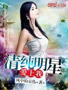 美女明星爱上我女主