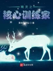 精灵之核心训练家TXT
