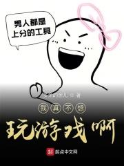我想自己玩游戏