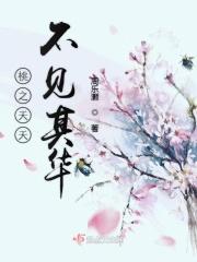 桃之夭夭意思