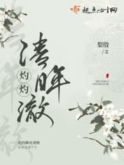 灼灼情深敌不过全文阅读