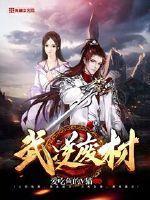 武逆介绍