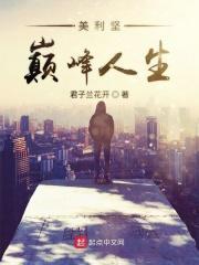 美利坚巅峰人生啃书网