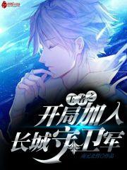 书名是王者之开局加入长城守卫