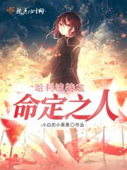 哈利波特之命运螺旋txt