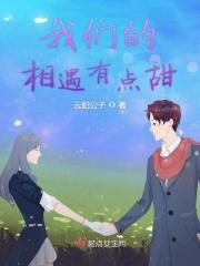我们的相遇作者蔗糖