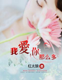 我爱你那么多是什么歌名