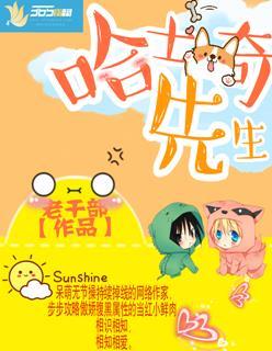 来货的哈士奇介绍
