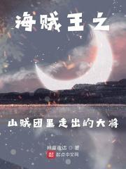 海贼王山贼达旦