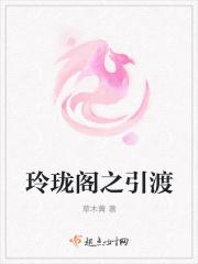 玲珑阁传