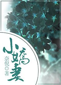 小娇妻远上白云间