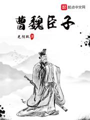 曹魏之臣