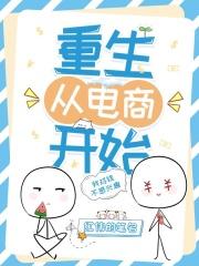 重生之电商开始起点