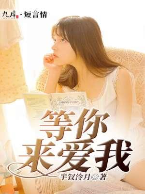 等你来爱我歌词是什么意思