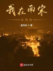 我在南宋能网购 起点