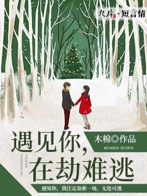 遇见你在劫难逃怎么回复对方