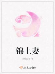 锦上妻 诗雨如梦