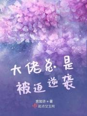 大佬每天被迫营业全文免费阅读