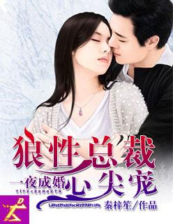 一夜成婚狼性总裁心尖宠资源