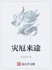 灾厄wki