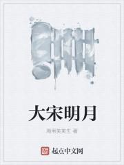 宋朝明月诗