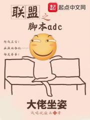 lol脚本使用方法