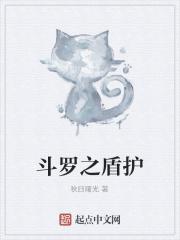 斗罗之盾护斗罗盾者无伤