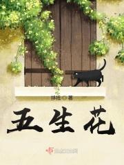 电视剧生花五