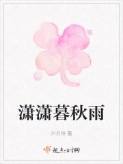 潇潇暮雨是什么意思?