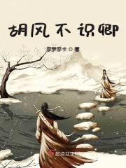 不识风情