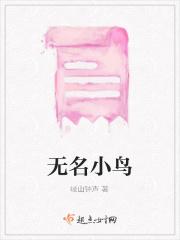 无名鸟简介